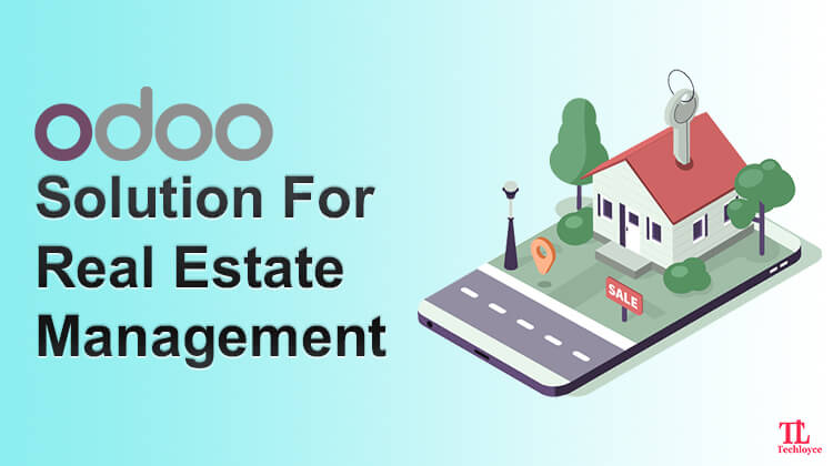 An Overview of Odoo for Real Estate Solution