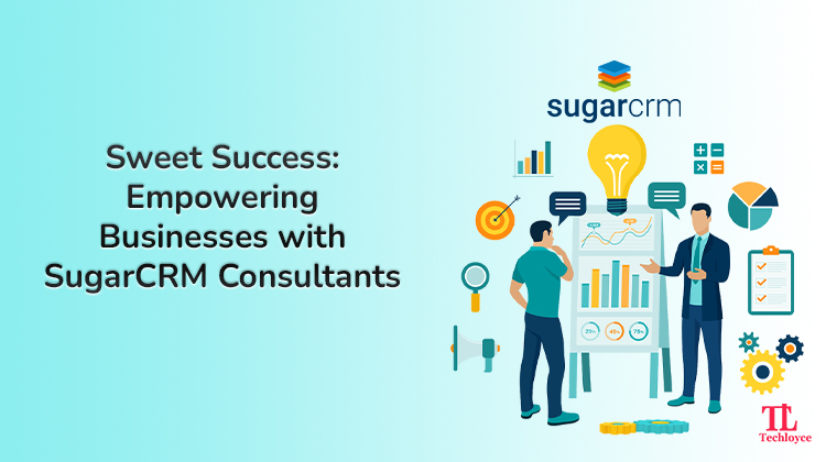 Empowering Businesses: SugarCRM Consultants